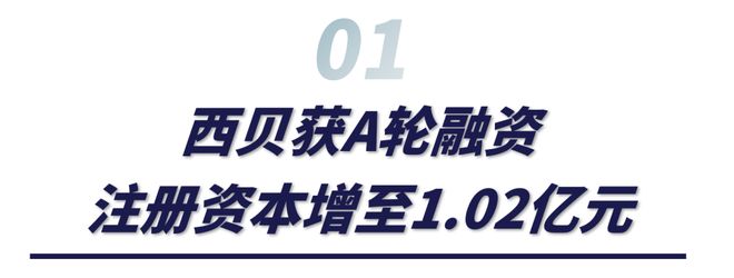 成都科技企业跨界投资西贝贾老板2026冲击IPO？(图1)