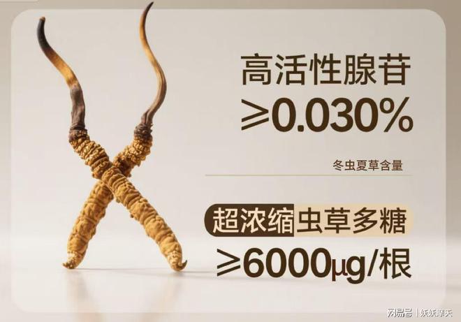 冬虫夏草最好的牌子？十大权威品牌全面对比产地、工艺、口碑优(图2)