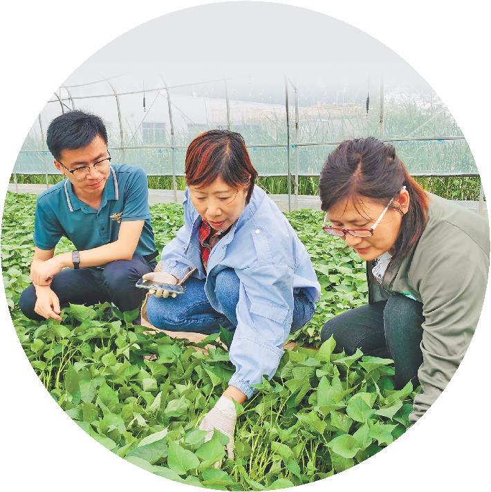 科技赋能农业更现代(图1)