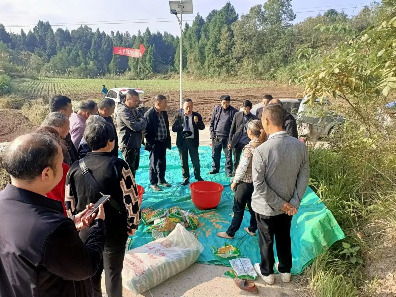 虫草什么季节种植合适 冬虫夏草什么时候种植(图1)