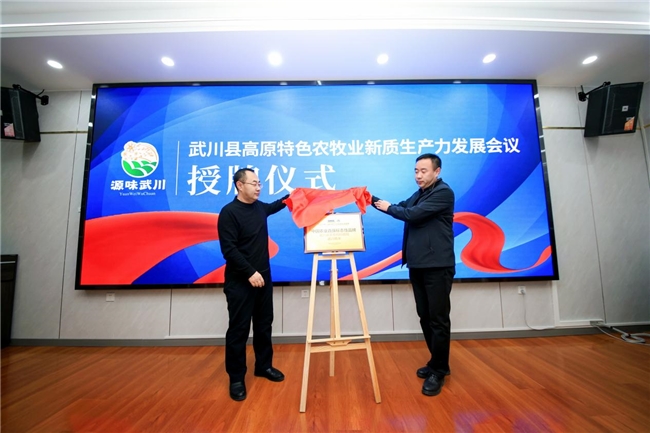 创意品牌营销策划公司推荐：超级符号+爆品打造体系（案例详解）(图1)