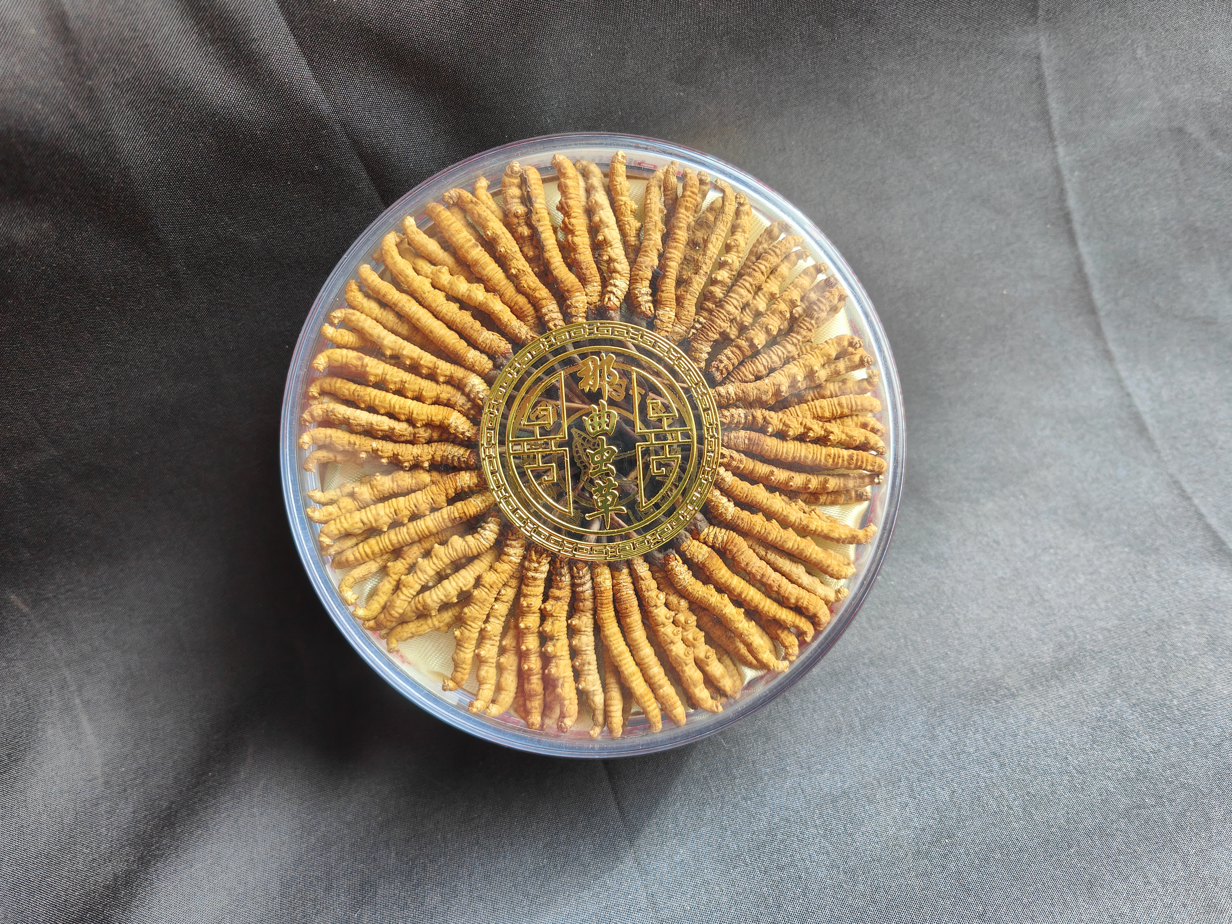 公司信息更新报告：2025年业绩稳健提升“内生+外延”蓄力发展(图1)