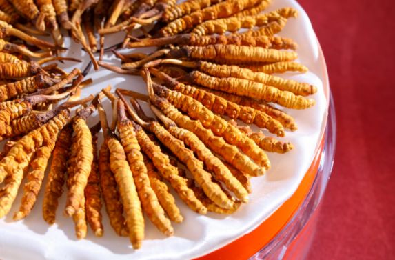 2026新手必看：冬虫夏草十大品牌选购法产地正宗+工艺先进+含量达标(图2)