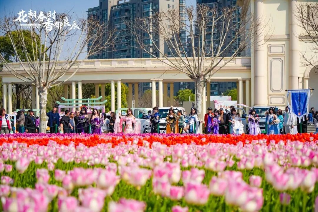 这些爆火的「春日经济」可不只是新“花”样丨南财号热话(图8)