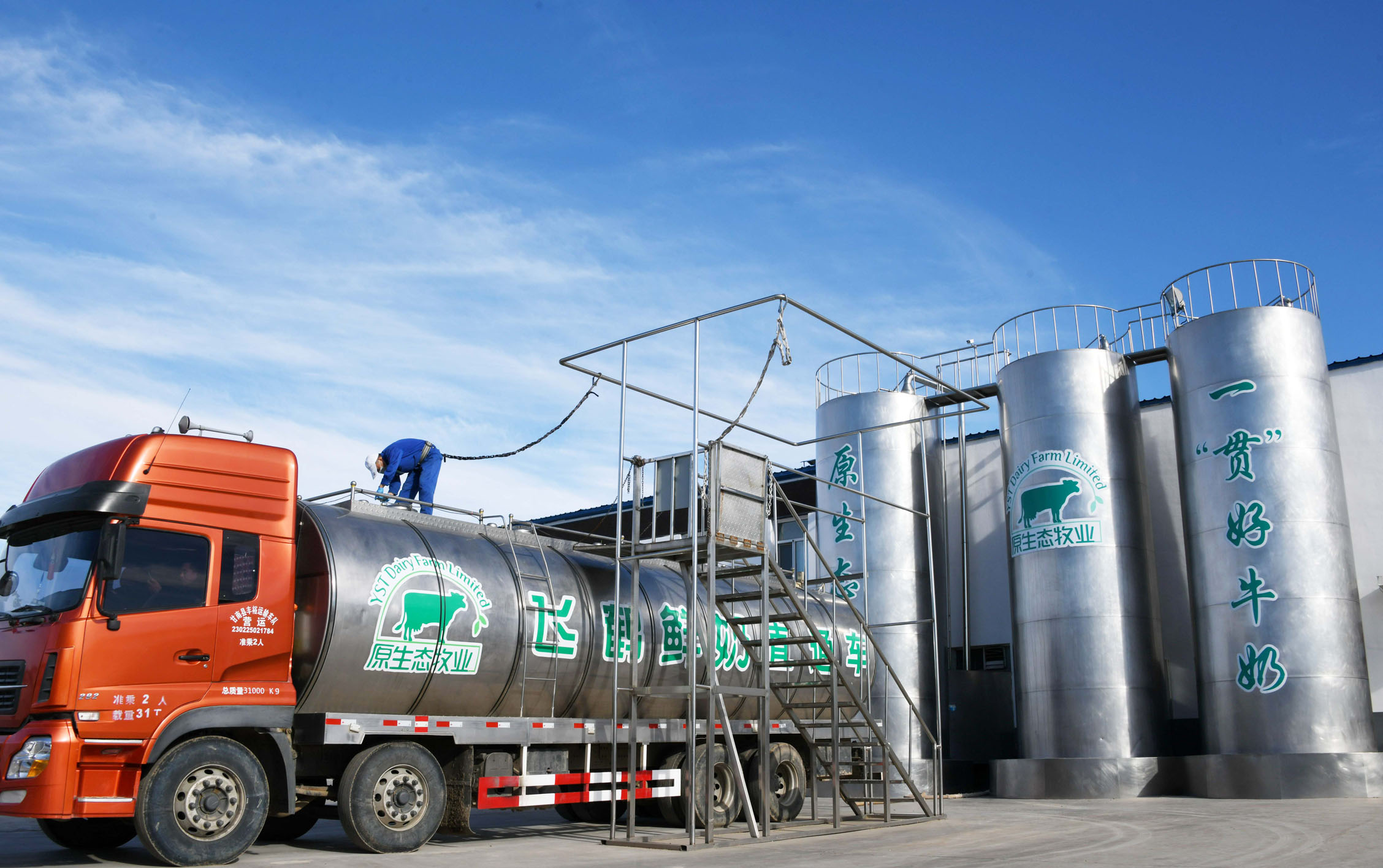 中国飞鹤2025年净利降超45%(图1)