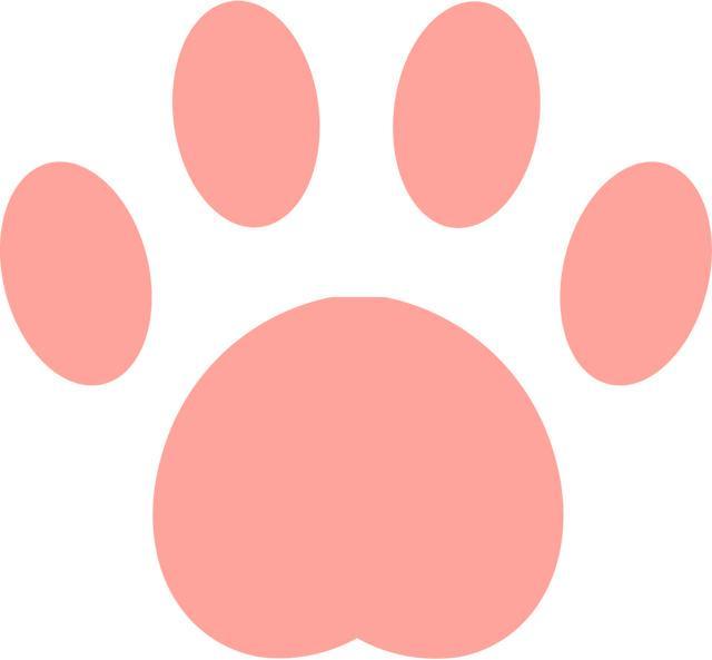 探访成都首个“萌宠村”：小村庄变身全沉浸式人宠度假目的地(图3)