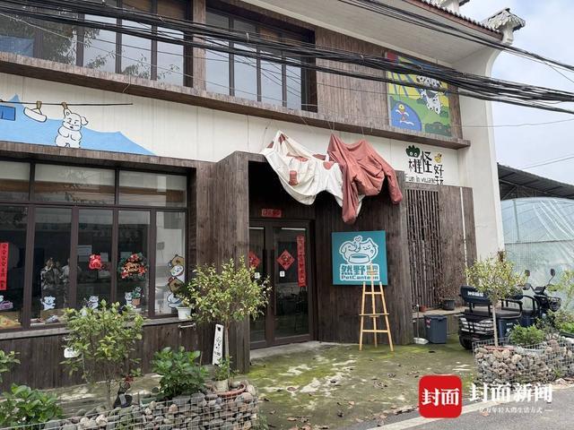 探访成都首个“萌宠村”：小村庄变身全沉浸式人宠度假目的地(图1)