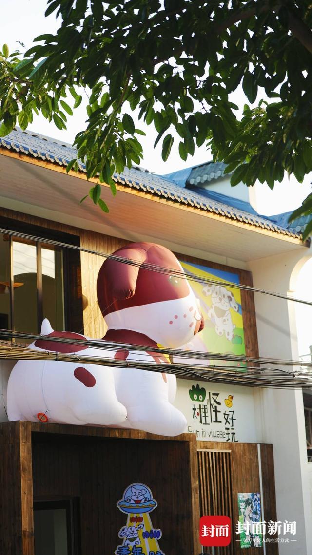 探访成都首个“萌宠村”：小村庄变身全沉浸式人宠度假目的地(图2)