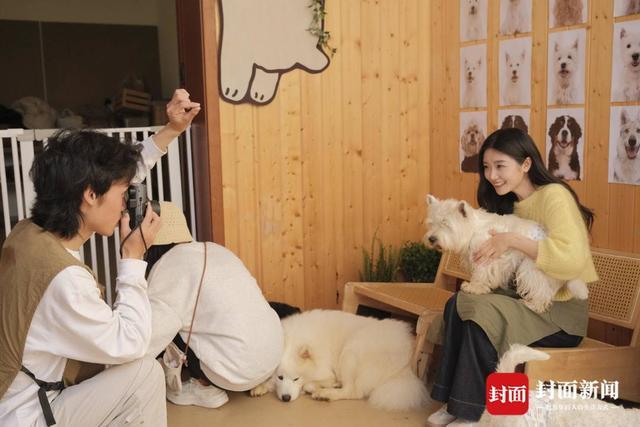 探访成都首个“萌宠村”：小村庄变身全沉浸式人宠度假目的地(图7)