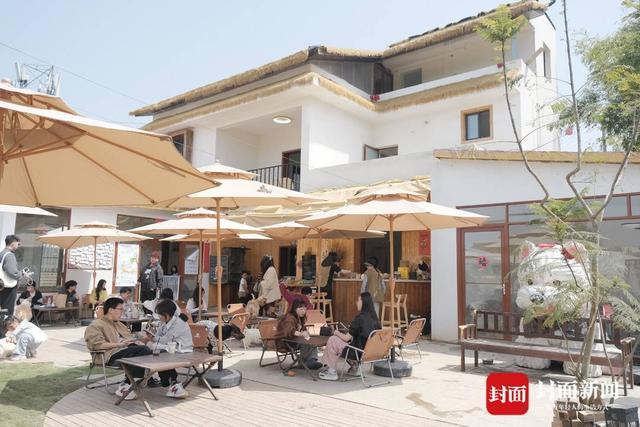 探访成都首个“萌宠村”：小村庄变身全沉浸式人宠度假目的地(图4)