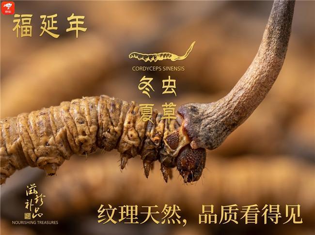 冬虫夏草送礼品牌推荐：这十款拿得出手又有面子爸妈吃了睡得香精神好(图3)
