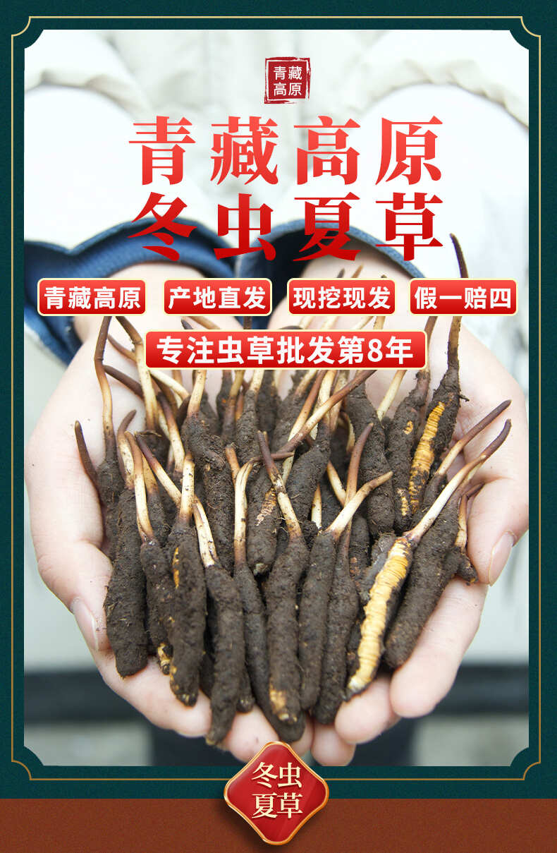晋创谷·大同278项知识产权落地以科创产能筑牢城市数字算力底座(图1)