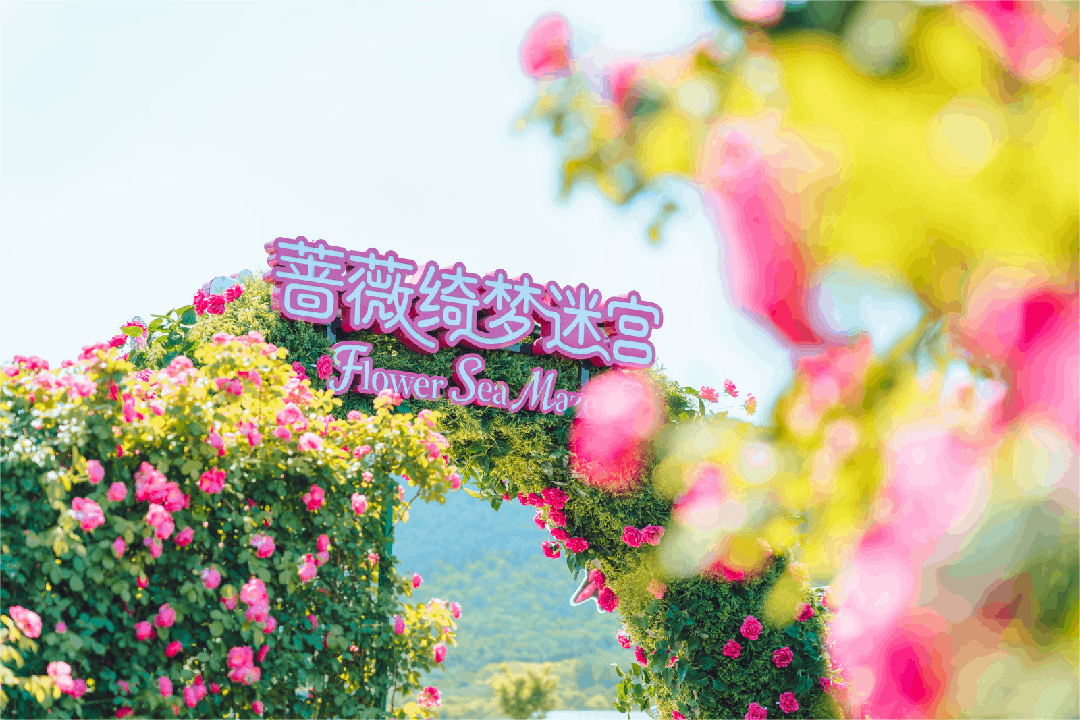 徐州杉杉奥莱：用“微度假”拢住四省客流(图7)