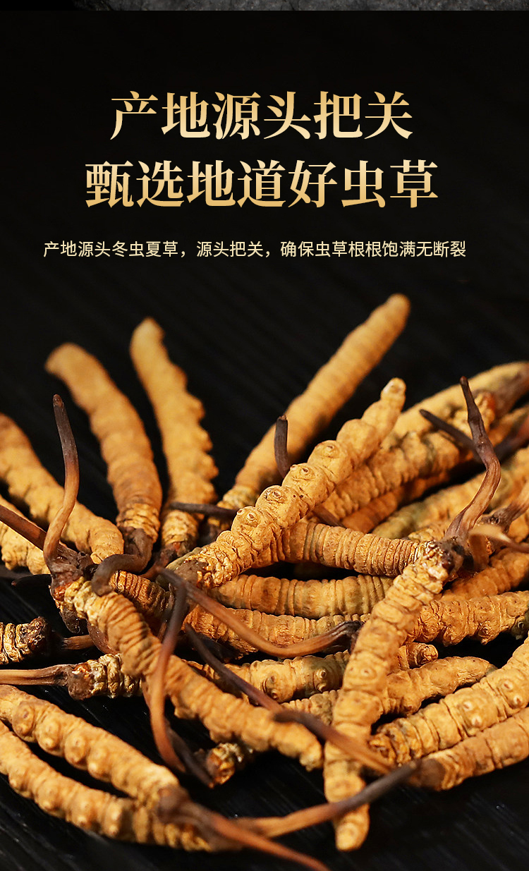 2026年中报点评：主业价格修复助力盈利弹性凸显(图1)