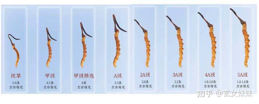 显卡推荐与购买指南(2025年11月)(图1)