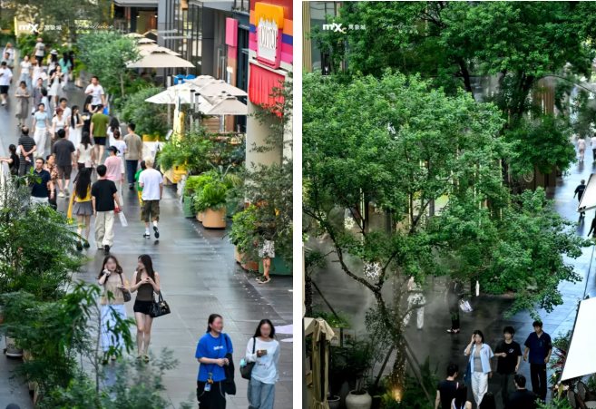 全国最火餐饮为啥扎堆万象城？(图10)