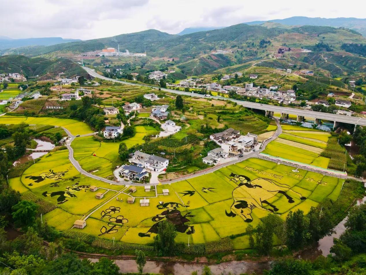 凉山会东：深学活用“千万工程”经验绘就姜州和美乡村新图景(图1)